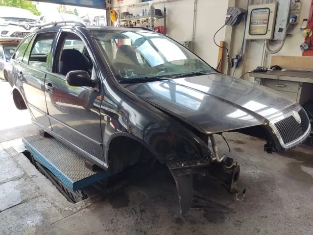 AMMORTIZZ POST DX SKODA FABIA 00>07