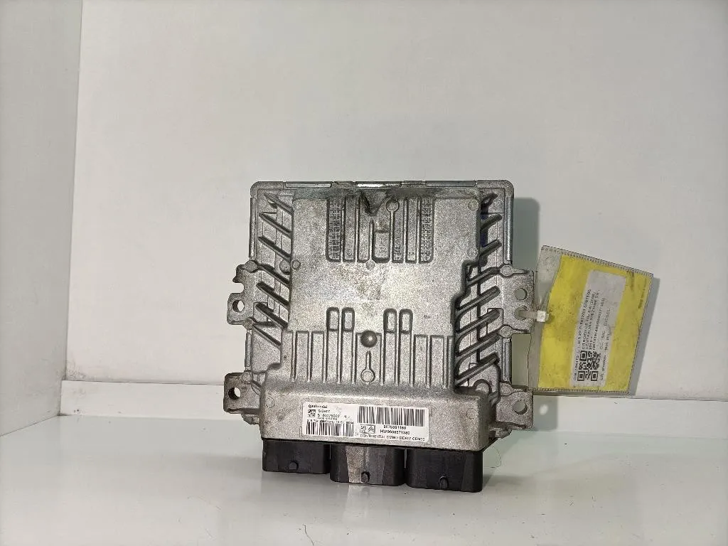 CENTRALINA MOTORE CITROEN C5 Station Wagon 9675391480/9666571380 DV6CTED diesel 1560 (08>18)