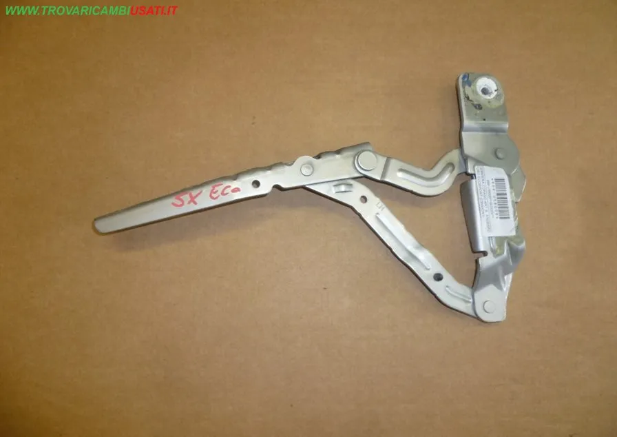 CERNIERA COFANO ANT. S. ARGENTO FORD ECOSPORT (CBW/CR1)