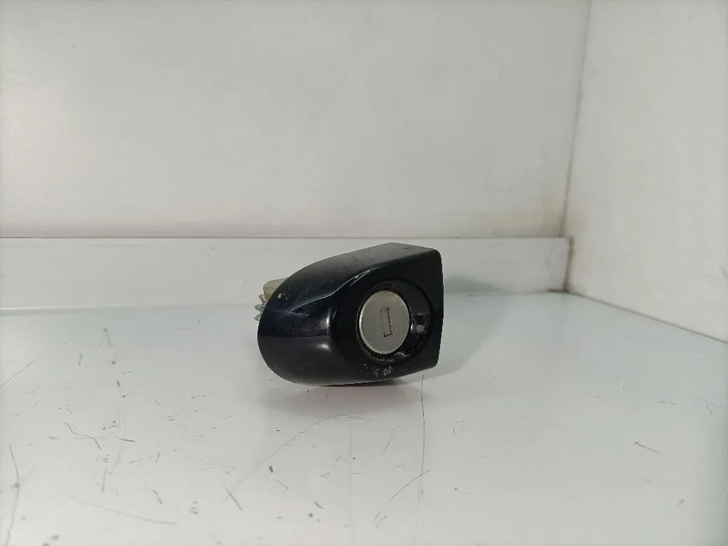 CILINDRETTO PORTIERA con codice 51217310729 da BMW Serie 1 F20 (11>19)