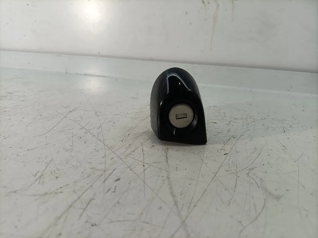 CILINDRETTO PORTIERA BMW Serie 1 F20 51217310729 N47D20C (11>19)