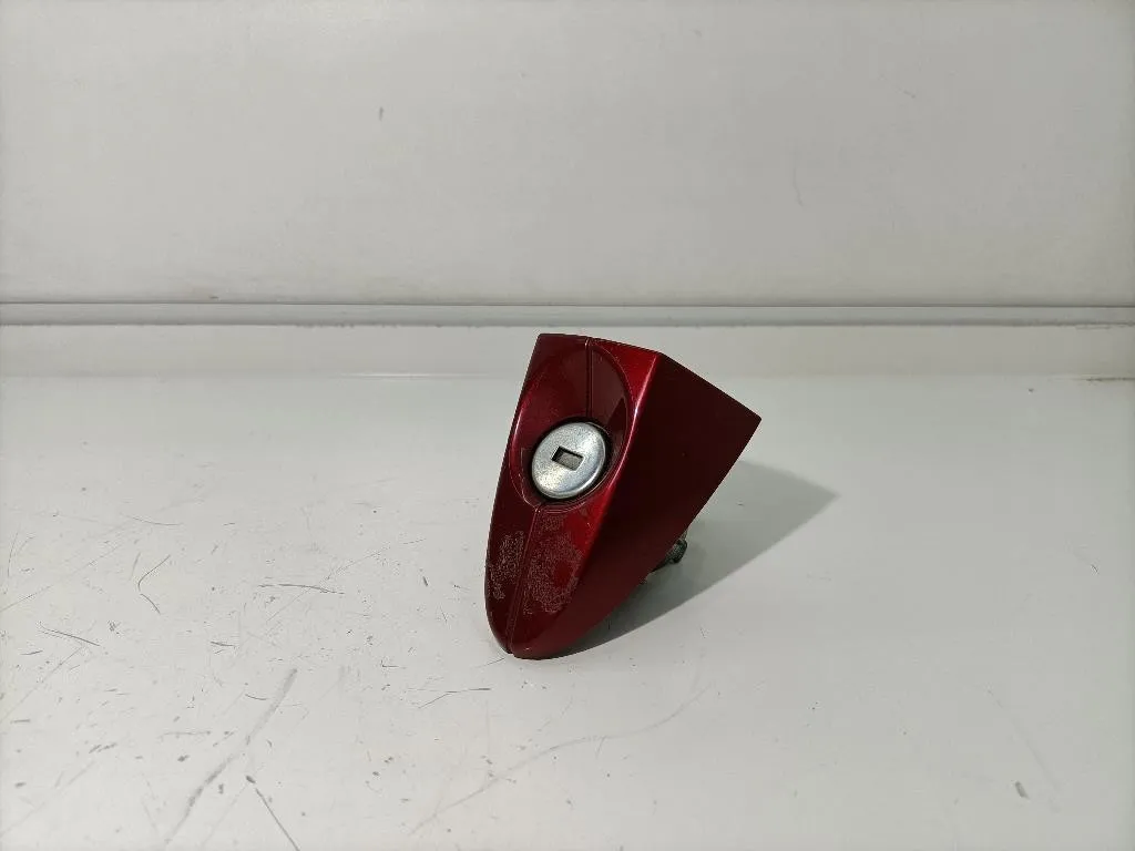 CILINDRETTO PORTIERA FORD EcoSport Serie 2142389 Z2JA (12>)