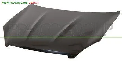 COFANO NISSAN - QASHQAI - 01-12-2006 - 01-03-2010, NISSAN - QASHQAI +2 - 2008 > 2010 CODICE/I: DS7103100 DS7103130 OE F5100JD0MB