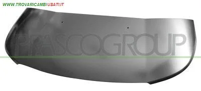COFANO CITROEN - C3 PICASSO - 2009 > 2012, CITROEN - C3 PICASSO - 2012 > 2018 CODICE/I: OE 7901Q7 CI7053100