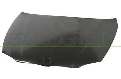 COFANO ANT. BMW - SERIE 1 E81 3 PORTE - 2007 > 2012, BMW - SERIE 1 E82 COUPE - 2007 > 2013, BMW - SERIE 1 E87 5 PORTE - 2004 > 2007, BMW - SERIE 1 E87 5 PORT... CODICE/I: OE 41627162102 BM1203130 B...