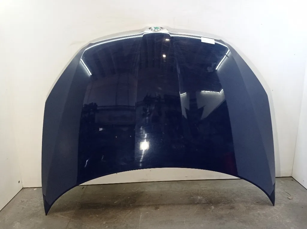 COFANO ANTERIORE SKODA Roomster 1° Serie 5J0823031A CGPA (06>)