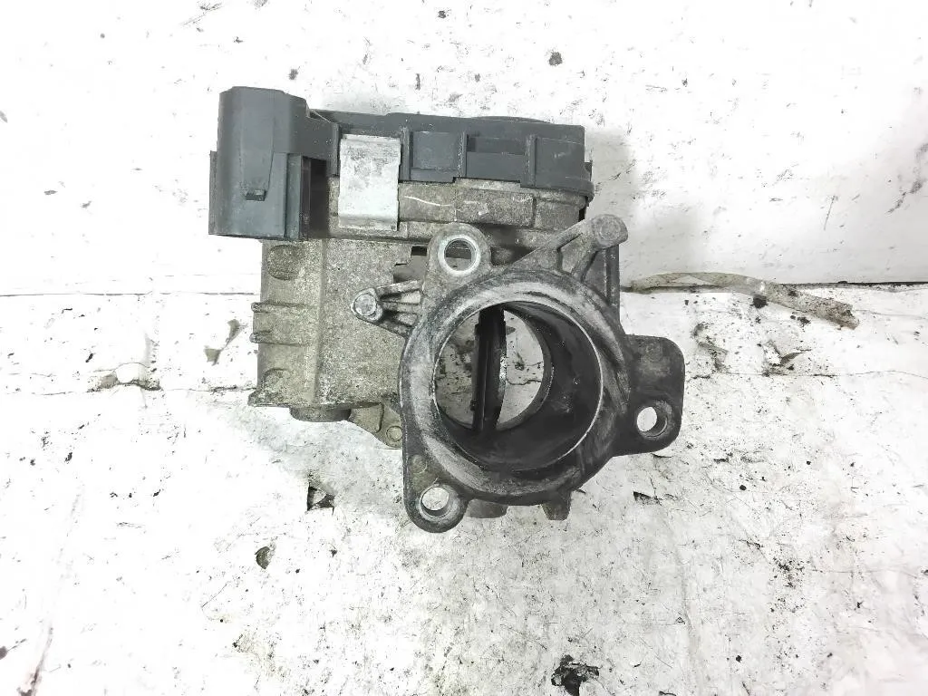 CORPO FARFALLATO con codice 55213019 da FIAT Panda Serie 4x4 169A5000 diesel 1248 (10>13)
