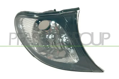 FANALE POST.S. BMW - SERIE 3 E46 TOURING 2001 > 2005 CODICE/I: OE 63137165849 BM0204014 BM0204123