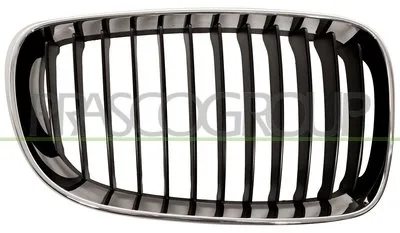 GRIGLIA D. BMW - SERIE 1 E81 3 PORTE - 2007 > 2012, BMW - SERIE 1 E82 COUPE - 2007 > 2013, BMW - SERIE 1 E87 5 PORTE - 2007 > 2011, BMW - SERIE 1 E88 CABRIO ... CODICE/I: OE 51137166440 BM1212003