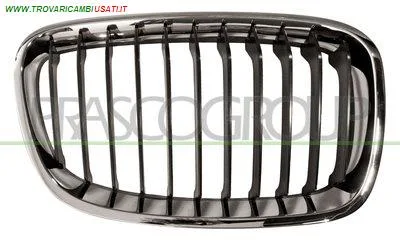 GRIGLIA RADIATORE DESTRA-NERA-CON CORNICE CROMATA MOD. BASIS BMW - SERIE 1 F20 5 PORTE - 2011 > 2015, BMW - SERIE 1 F21 3 PORTE - 2012 > 2015 CODICE/I: BM1232003 OE 51137239022