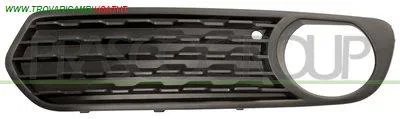 GRIGLIA SINISTRA PARAURTI ANTERIORE-NERA-CHIUSA-CON SEDE FENDI BMW - SERIE 1 F20 5 PORTE - 2011 > 2015, BMW - SERIE 1 F21 3 PORTE - 2012 > 2015 CODICE/I: BM1232124 OE 51117245869