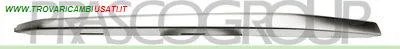 MODANATURA DESTRA GRIGLIA RADIATORE-GRIGIA-SATINATA MOD. SPORT LINE BMW - SERIE 3 F30 4 PORTE - 2015 >, BMW - SERIE 3 F31 TOURING - 2015 > CODICE/I: OE 51117396836 BM0311223