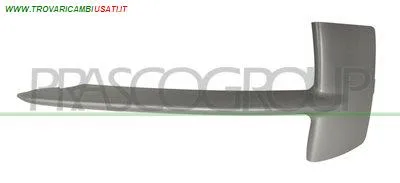 MODANATURA DESTRA PARAURTI ANTERIORE-ARGENTO BMW - X5 F15 - 2013 > CODICE/I: OE 51117303114 BM8261233