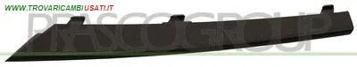 MODANATURA SINISTRA GRIGLIA PARAURTI ANTERIORE-NERA BMW - SERIE 3 E90 4 PORTE - 2008 > 2011, BMW - SERIE 3 E91 TOURING - 2008 > 2012 CODICE/I: OE 51117198899 BM0262228