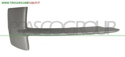 MODANATURA SINISTRA PARAURTI ANTERIORE-ARGENTO BMW - X5 F15 - 2013 > CODICE/I: BM8261234 OE 51117303113