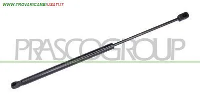MOLLA A GAS DESTRA/SINISTRA PORTELLONE POSTERIORE - 500 N - L 494 mm - C 192 mm - Ø 18 mm - Ø 8 mm