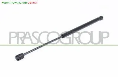 MOLLA A GAS DESTRA/SINISTRA PORTELLONE POSTERIORE - 600 N - L 440 mm - C 180 mm - Ø 18 mm - Ø 8 mm MOD. 5 PORTE