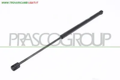 MOLLA A GAS DESTRA/SINISTRA PORTELLONE POSTERIORE - 610 N - L 505 mm - C 210 mm - Ø 18 mm - Ø 8 mm