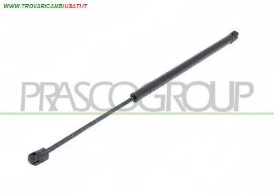 MOLLA A GAS DESTRA/SINISTRA PORTELLONE POSTERIORE - 590 N - L 542 mm - C 200 mm - Ø 18 mm - Ø 8 mm