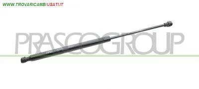 MOLLA A GAS DESTRA/SINISTRA PORTELLONE POSTERIORE - 90 N - L 445 mm - C 176 mm - Ø 18 mm - Ø 8 mm MOD. COUPE'