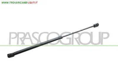 MOLLA A GAS DESTRA/SINISTRA PORTELLONE POSTERIORE - 420 N - L 479 mm - C 190 mm - Ø 18 mm - Ø 8 mm