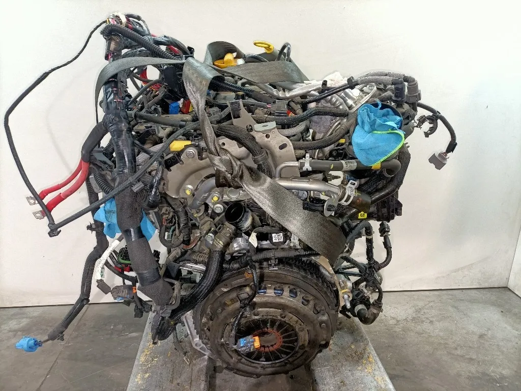 MOTORE COMPLETO DACIA Duster Serie H4DF480 H4D480 bifuel/gas 999 (17>24)
