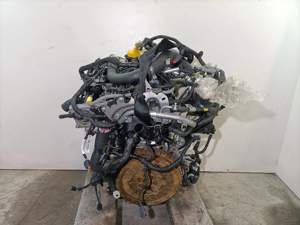 MOTORE COMPLETO DACIA Duster Serie H4DF480 H4D480 bifuel/gas 999 (17>24)