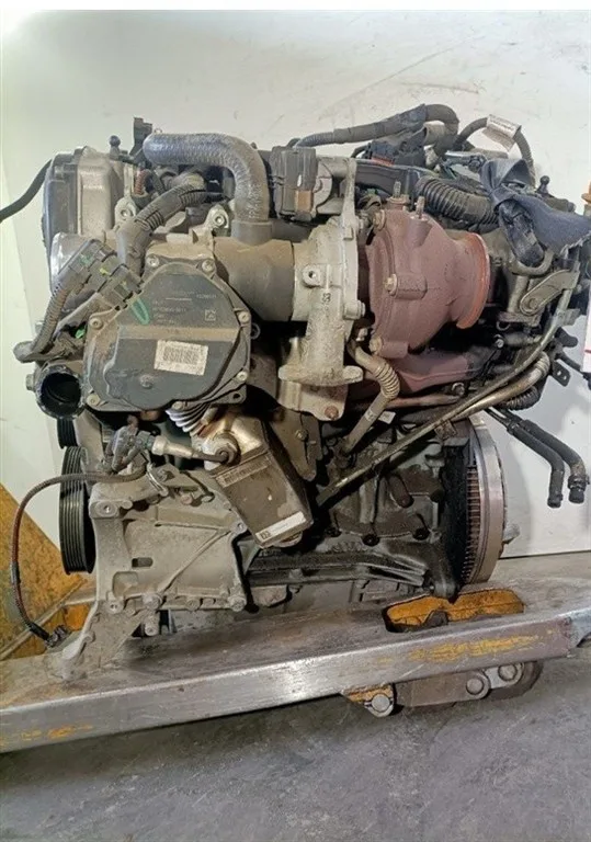 MOTORE COMPLETO FIAT Tipo berlina 5p 55260384 55260384 diesel 1598 (15>20)