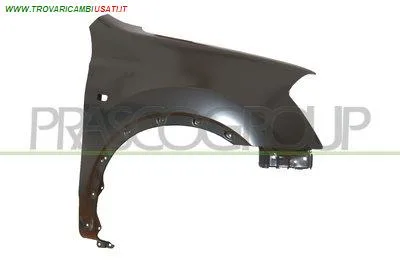 PARAFANGO ANTERIORE DESTRO-CON FORO LUCCIOLA NISSAN - QASHQAI - 01-12-2006 - 01-03-2010, NISSAN - QASHQAI +2 - 2008 > 2010 CODICE/I: OE F3100JD0M0 DS7103013 DS7103033