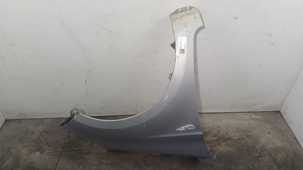 PARAFANGO ANTERIORE SINISTRO HYUNDAI i20 1° Serie 663111J000 G4LA (08>14)