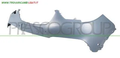 PARAURTI ANTERIORE-SUPERIORE-CON PRIMER-CON TAPPO COPRI GANCIO-CON FORI PDC+SUPPORTI-CON FORI PARK ASSIST