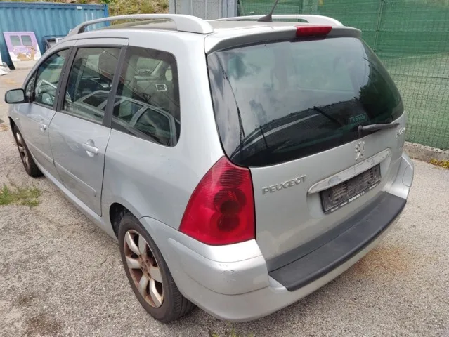 ELETTROGUIDA PEUGEOT 307 05>08