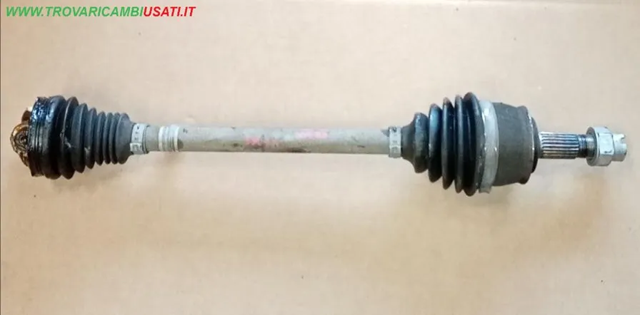 SEMIALBERO ANT.S. 51947026