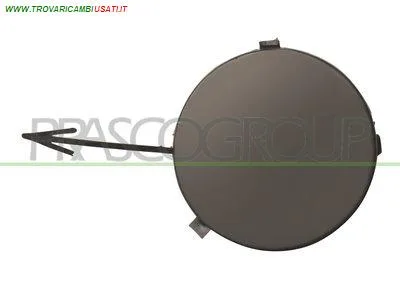 TAPPO COPRI GANCIO TRAINO PARAURTI ANTERIORE FORD - FOCUS - 1998 > 2001 CODICE/I: OE 1107426 FD4201236