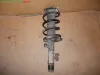 AMMORTIZZATORE ANT.D. FORD FOCUS (CAP) C-Max