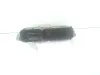 CENTRALINA MOTORE con codice Mjd6f3.p4 da FIAT Grande Punto 1° Serie 199a3000 Diesel 1300 (05>08)