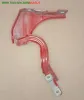CERNIERA COFANO ANT.D. ROSSO MET. ALFA ROMEO MITO (955-X6/QZ/10)