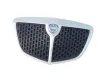 GRIGLIA ANTERIORE LANCIA Ypsilon 2° Serie 735425960 con codice motore 199A2000/199A2000 (06>10)