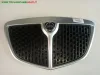 GRIGLIA CON STEMMA (dal 06/2007) LANCIA YPSILON