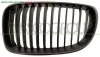 GRIGLIA RADIATORE SINISTRA-NERA BMW - SERIE 1 E81 3 PORTE - 2007 > 2012, BMW - SERIE 1 E82 COUPE - 2007 > 2013, BMW - SERIE 1 E87 5 PORTE - 2007 > 2011 CODICE/I: OE 51710441921 BM1212014