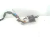 KIT CENTRALINA MOTORE con codice 0281012526 da PEUGEOT 206 Plus Berlina 8hz Diesel 1400 (09>)