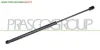 MOLLA A GAS DESTRA/SINISTRA PORTELLONE POSTERIORE - 500 N - L 494 mm - C 192 mm - Ø 18 mm - Ø 8 mm