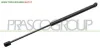 MOLLA A GAS DESTRA/SINISTRA PORTELLONE POSTERIORE - 550 N - L 480 mm - C 200 mm - Ø 18 mm - Ø 8 mm