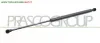 MOLLA A GAS DESTRA/SINISTRA PORTELLONE POSTERIORE - 450 N - L 455 mm - C 186 mm - Ø 18 mm - Ø 8 mm