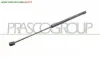 MOLLA A GAS DESTRA/SINISTRA PORTELLONE POSTERIORE - 400 N - L 540 mm - C 230 mm - Ø 18 mm - Ø 8 mm