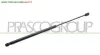 MOLLA A GAS DESTRA/SINISTRA PORTELLONE POSTERIORE - 280 N - L 562 mm - C 224 mm - Ø 18 mm - Ø 8 mm