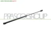 MOLLA A GAS DESTRA/SINISTRA PORTELLONE POSTERIORE - 420 N - L 479 mm - C 190 mm - Ø 18 mm - Ø 8 mm