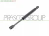 MOLLA A GAS DESTRA/SINISTRA PORTELLONE POSTERIORE - 1180 N - L 252 mm - C 80 mm - Ø 22 mm - Ø 10 ... ALFA ROMEO - 159 - 2005 > 2009, ALFA ROMEO - 159 - 2009 ... CODICE/I: OE 50508010 FT04417 AA0909065