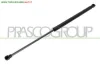 MOLLA A GAS DESTRA/SINISTRA PORTELLONE POSTERIORE - 350 N - L 500 mm - C 205 mm - Ø 18 mm - Ø 8 mm SEAT - LEON - 1999 > 2005, VOLKSWAGEN - GOLF 3 - 1992 > 19... CODICE/I: OE 1M6827550A VG0329055