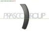 PARAFANGHINO ANTERIORE DESTRO-PARTE ANTERIORE-NERO-GOFFRATO FIAT - NEW PANDA - 2012 > 2024, FIAT - NEW PANDA VAN - 2012 > 2024 CODICE/I: FT1251571 OE 51880637